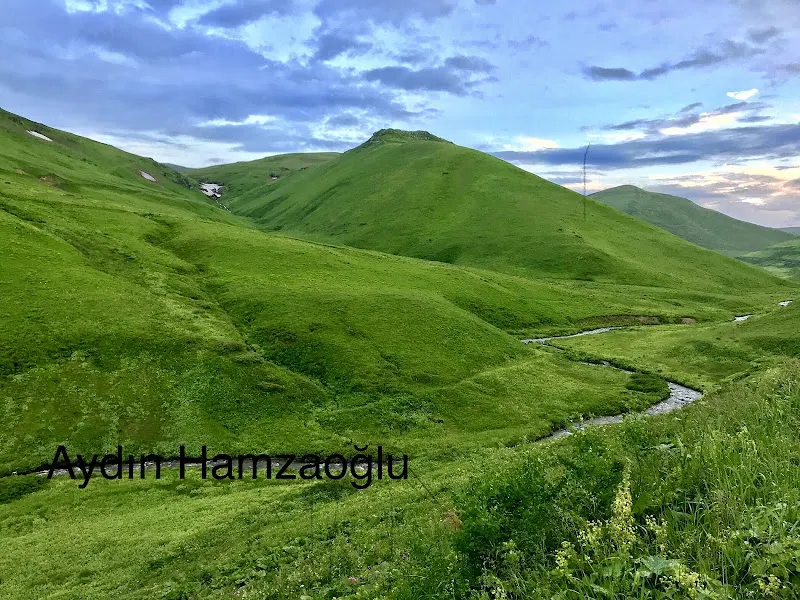 Hamam — fotoğraf 3