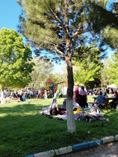 Naşa Kaplıcaları — fotoğraf 2