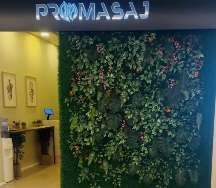 Promasaj Flyinn AVM — fotoğraf 1