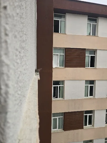 Pasif İsmailin Masaj Salonu — fotoğraf 2
