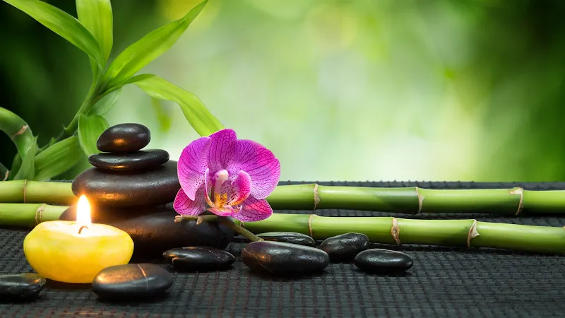 Garmir Spa Wellness — fotoğraf 1