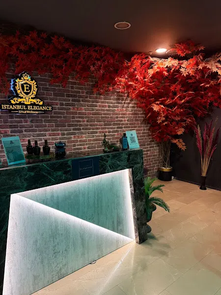 İstanbul Elegance Kartal Spa & Wellness — fotoğraf 2