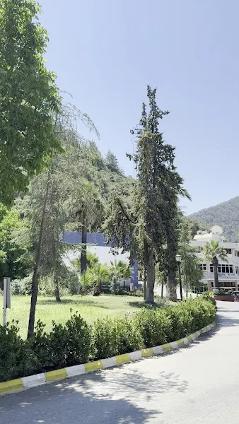 Ilıca Kaplıca Tesisi — fotoğraf 2