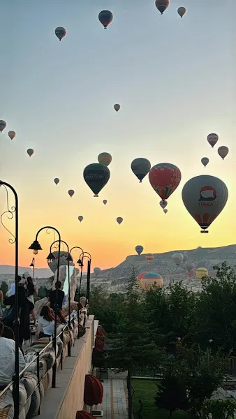 Tree Of Life Spa & Massage — fotoğraf 1