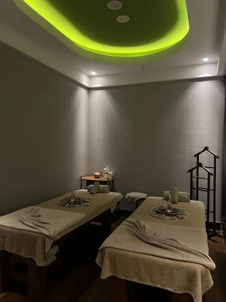 Botanica Spa & Wellness by Mövenpick Hotel Istanbul Asia Airport — fotoğraf 3