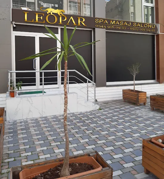 Leopard Spa Masaj Salonu & Güzellik Merkezi — fotoğraf 1