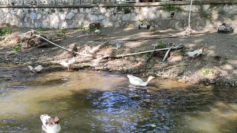 Bayındır Kaplıcaları — fotoğraf 2