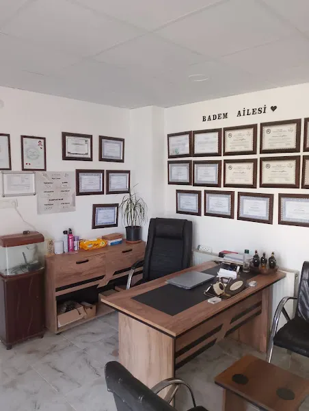 Badem Aile Masaj Salonu — fotoğraf 2