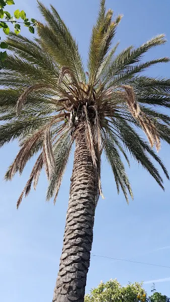 Urla Yeni Hamam — fotoğraf 2