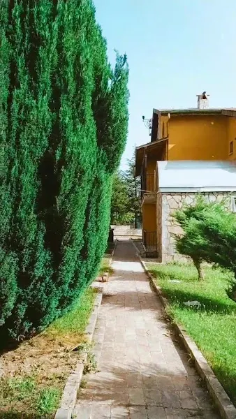 Gazlıgöl termal villa şifa termal — fotoğraf 2