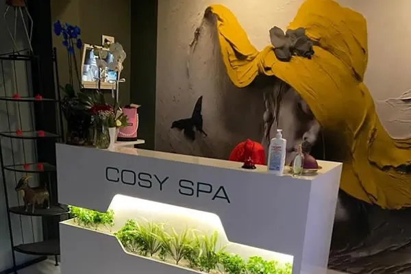 Cosy Spa — fotoğraf 2