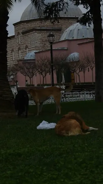 Hürrem Sultan Hamamı — fotoğraf 2