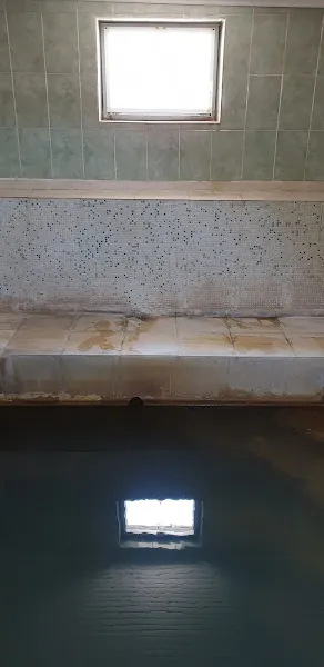 Dikili Çamur ilicasi — fotoğraf 3