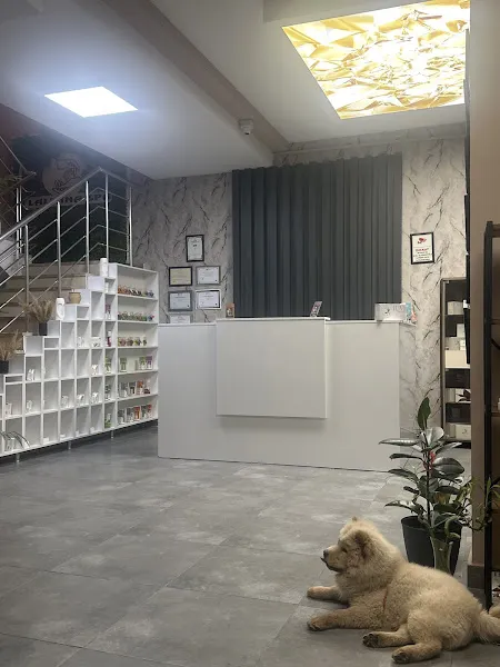 Lalmina Spa ve Masaj Merkezi — fotoğraf 1