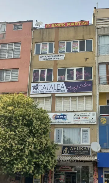 catalea masaj salonu — fotoğraf 1