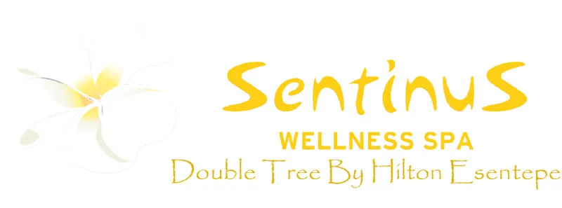 Sentinus Wellness Spa — fotoğraf 1