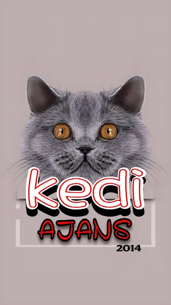 Elit Masaj Salonu — fotoğraf 2
