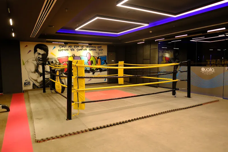 Qualia Spa & Wellness İstanbul Gönen Hotel — fotoğraf 2